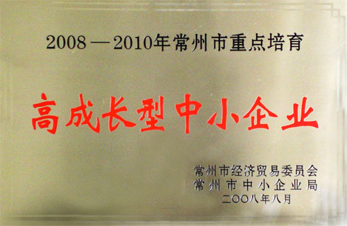 高成长型中小企业