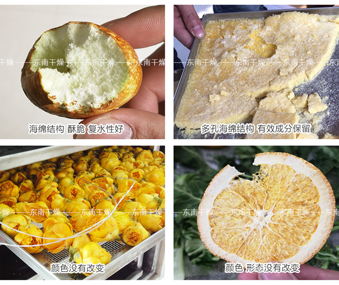 本公司真空冷冻干燥机的部分应用（掌握成熟工艺）